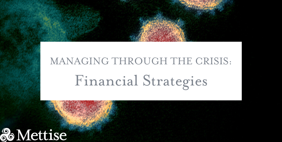 Managing Through the Crisis: Financial Strategies